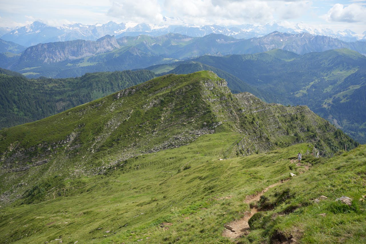Scenic view of lush alpine landscape and distant snow-capped peaks in summer.