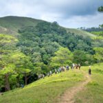 Unrecognizable travelers hiking on path in hilly terrain with forest between hills against cloudy sky on sunny summer day