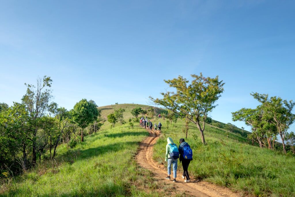 Back view of unrecognizable hikers in outerwear and backpacks walking on narrow path on grassy hill during trip on sunny day