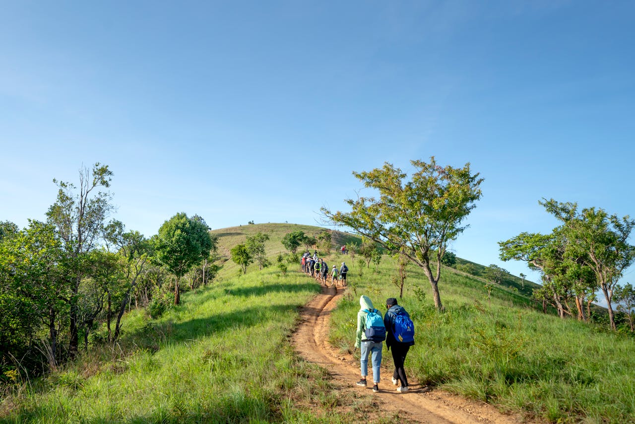 Back view of unrecognizable hikers in outerwear and backpacks walking on narrow path on grassy hill during trip on sunny day
